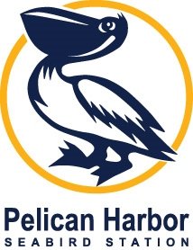 Pelican Harbor Portrait Color Logo 300px+(2)